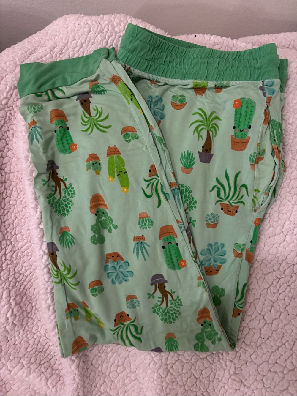 Little Sleepies Succulent Love pants